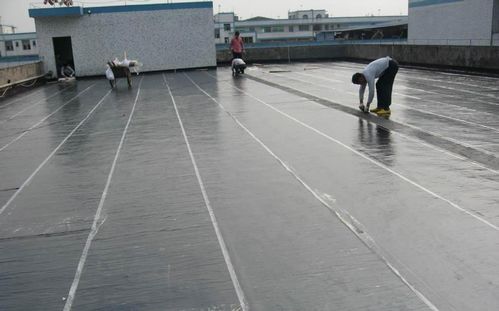 如何鑒定防水卷材和防水涂料的質量？簡單幾招保障防水效果