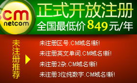 耐思尼克 一站式企業互聯網解決方案，助力您的數字化征程